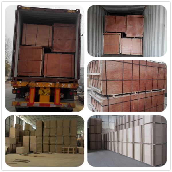 4mm 1220*2440mm Okoumephenolic Film Faced Plywood Marine Grade