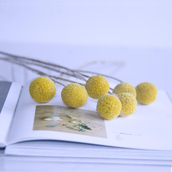 50cm Craspedia Globosa  Air Drying Flowers