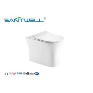 Free Standing Toilet