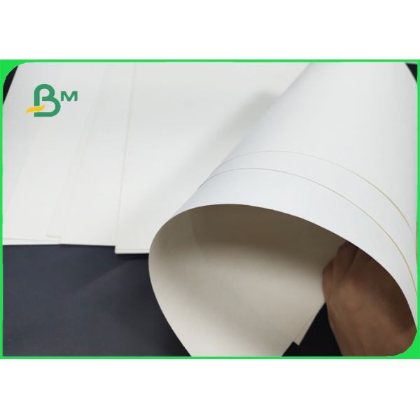 185+15g Polycoated Cupstock Board Disposable FDA Approved 50 * 35cm