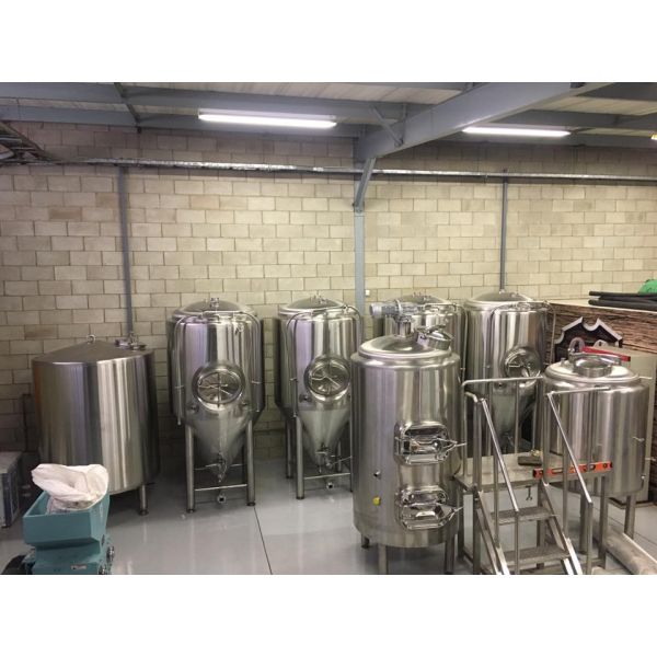 500L Mini Beer Brewery Equipment 2mm Exterior Shell Turnkey / Customeized Plants Type