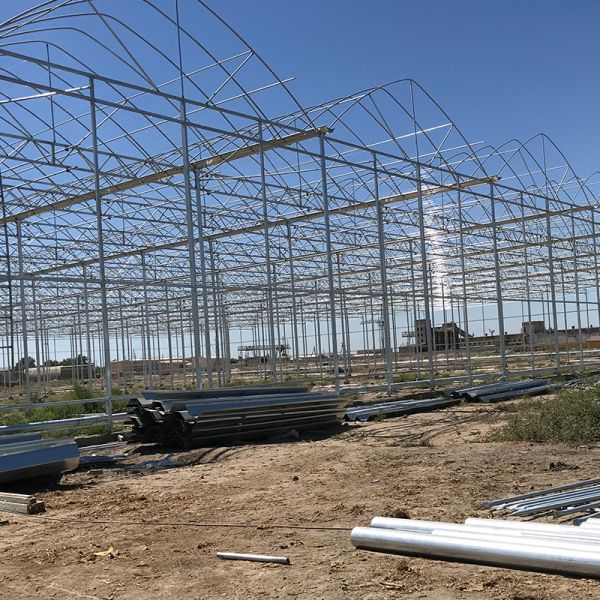 Двухслойная противососудистая сетка для сельскохозяйственных теплиц покрывает пластиковую пленку эффективно