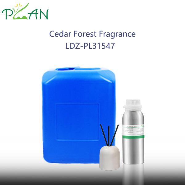 Premium Cedar Forest  Fragrance Flavor  For Reed Sticks & Diffuser  Long-lasting Scents