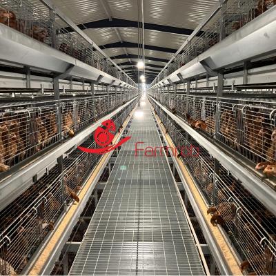 Enhanced performance poultry cage system for baby chicks