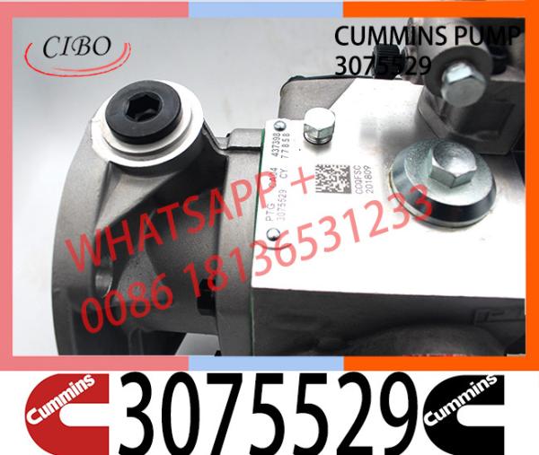 Bomba de combustível marinha diesel genuína 3075529 3075664 das peças KTA38 QSK38 pinta de Cummins