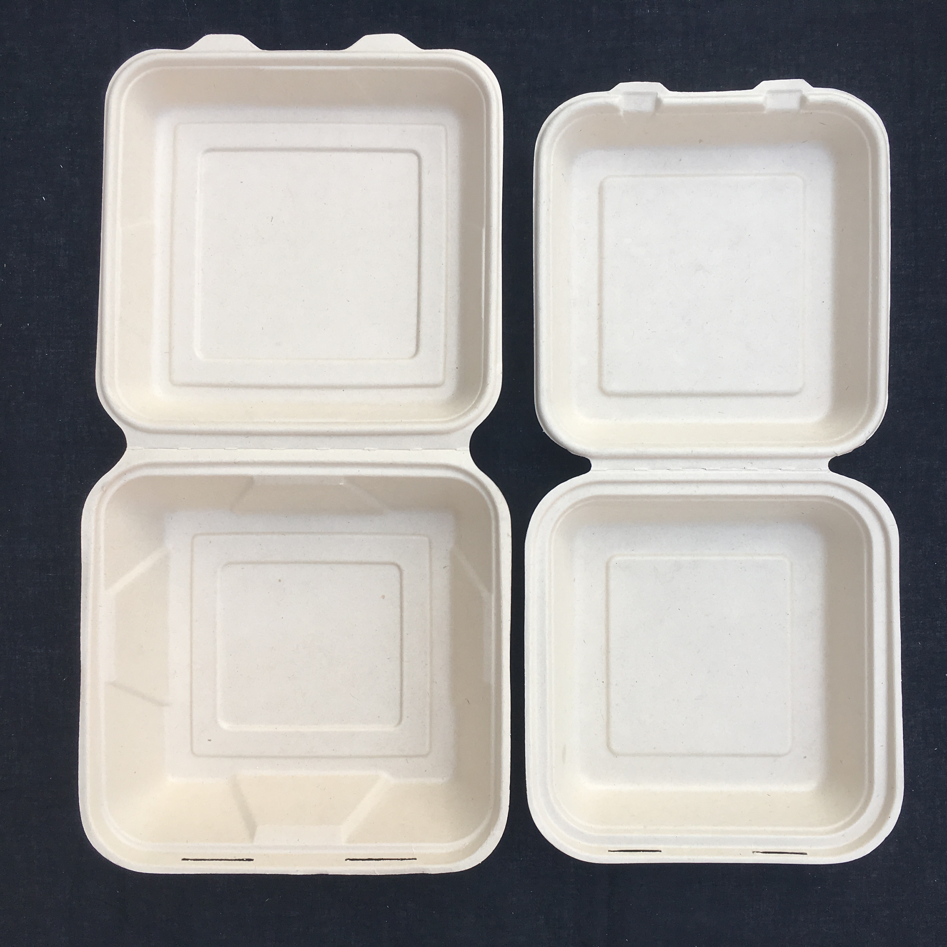 Салата сахарного тростника 100% коробка для завтрака Biodegradable устранимая с прозрачной крышкой