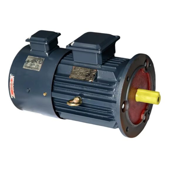 Explosion-Proof Variable Frequency Drive Motor with Braking Function and IP55 Protection for Industrial Applications