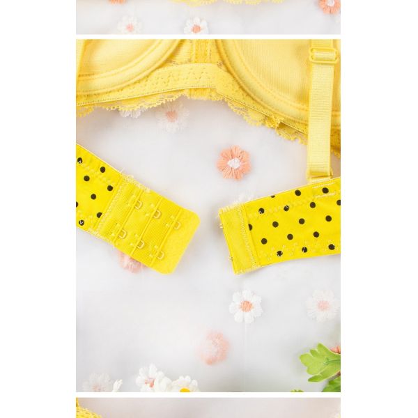 Thin Cup Lace Women Underwear Breathable and Comfortable Small Chest Gathered Ladies Bra Wholesale