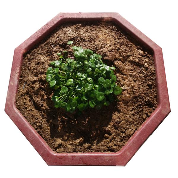 Large Compression Process Octagon Plastic Nursery Pots Hollow Bottom