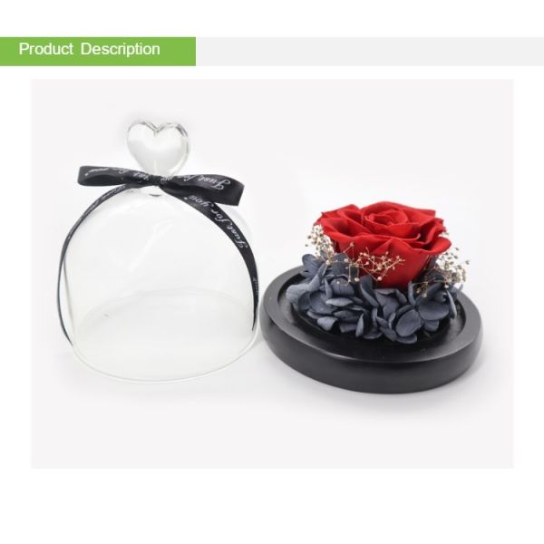 romantic eternal fresh rose preserved box gift artificial eternal rose flower in glass weddings decoration flower preser