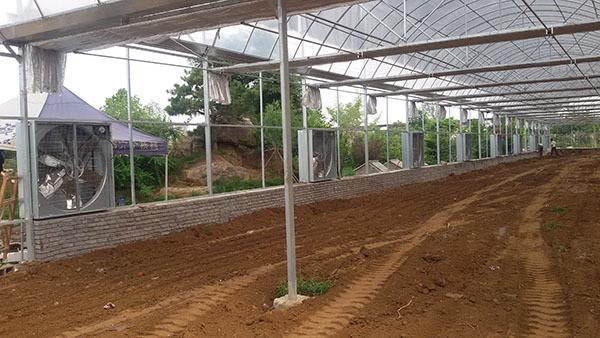 Source Factory 7090 Cooling Pad Honey Comb Wet Curtain for Poultry Farm and Greenhouse Evaporative air Cooler 10mm