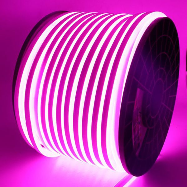 Flexible Led Neon Light Rgb OutdoorWaterproof Cuttable LED Lights Strip Roll 220V