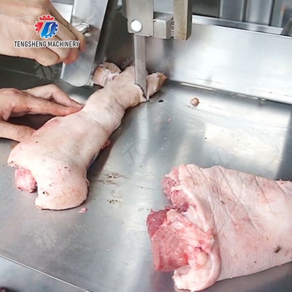 La machine congelée sciante solides solubles de transformation de la viande d'abattoir pêchent la décomposition d'os