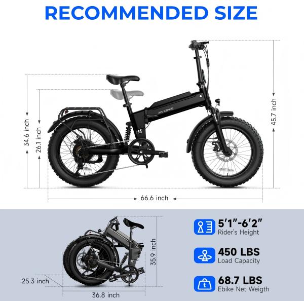 F00C 20''*4.0 750W Brushless Electric Bike Rear Hub Motor 36v Moped-style Fat Tire Integrated Battery Power Supply Lithium