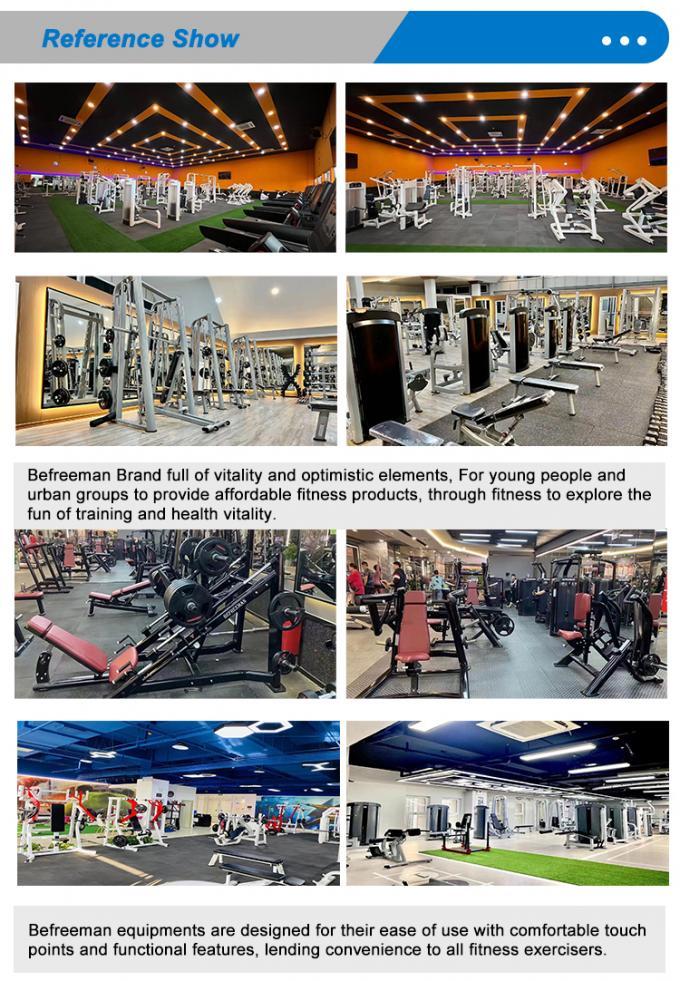 Seated Back Extension Machine Commercial Selectorized Gym Equipment for Lower Back Training