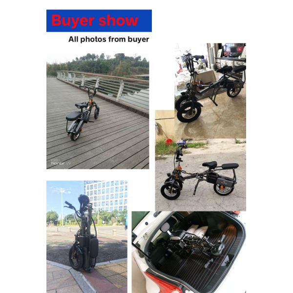 Adult Electric Tricycle Bike , 3 Wheel Electric Trike 350W 8AH Lithium Battery