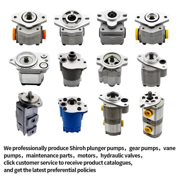 Pompe d'Attachments Hydraulic Gear d'excavatrice de pièces de machines de construction de pompe hydraulique de Rexroth