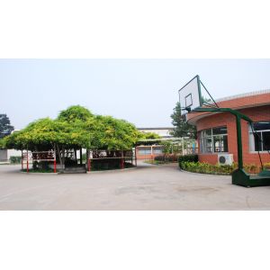 TANGSHAN HAIGELEI FINE BONE PORCELAIN CO.,LTD