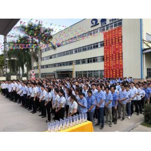Guangdong Xin Tongshi Group Co., Ltd.