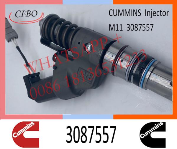 Com-minutos do injetor de combustível no injetor comum conservado em estoque 3087557 do trilho de M11I SM11 QSM11 4307516 4061851 4307517