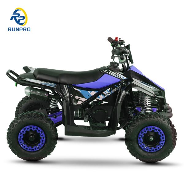 49CC AUTOMATIC 2-Stroke Mini Gas Kids ATV for Children Quad Bike at Budget-Friendly
