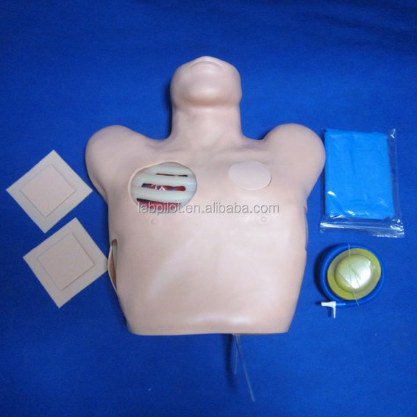 Advanced PVC Manikin for Nursing Training of Pleural Puncture Drainage and Thoracentesis
