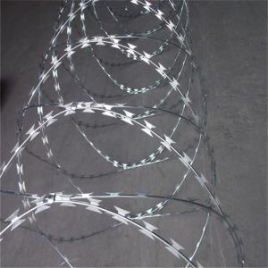 Hot Dip Galvanized Barbed Razor Wire Fence with 2.5mm Wire Diameter for Protective Construction
