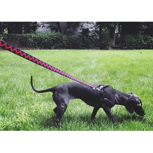 HiDREAM XS Dog Walking Harness To Stop Pulling Puppy Seat Belt For Car