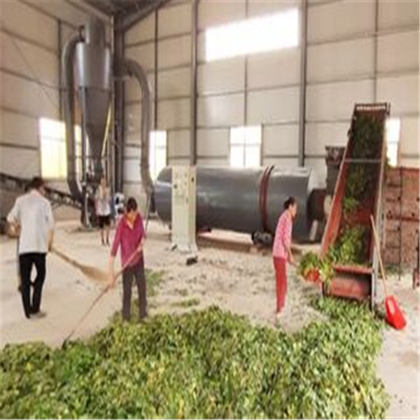 сушильщик роторного барабанчика 8r/Min