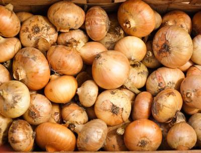 Brain Refreshing Natural Spicy Yellow Spring Onions