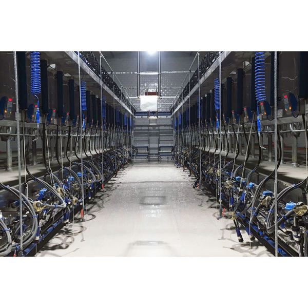 Digital Vacuum 50Kpa Herringbone Milking Parlor For Dairy Farm