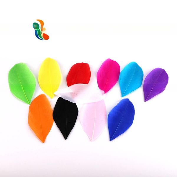 4 à 6 cm de costume de carnaval rayé Plumes, plumes de nagouire d' oie Des dessins accrocheurs