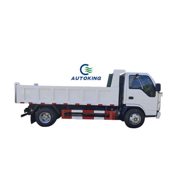 Puissant 150-250 chevaux de 10 tonnes Mini-Dump Truck avec une capacité de moteur < 4L et une boîte personnalisable