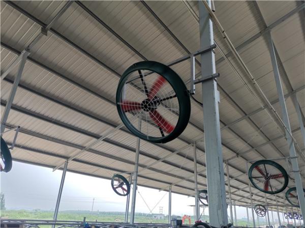 Exaustor industrial da ventilação do ventilador de refrigeração 920mm da ventilação da exploração agrícola de leiteria 480W