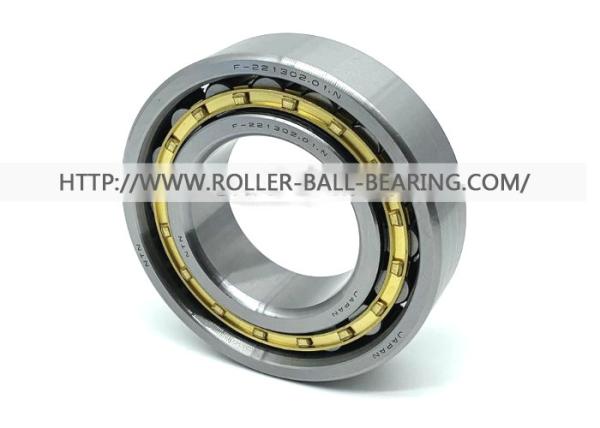 F-221302.01.N NTN Cylindrical Roller Bearings F-221302 F 221302 1 55x104x27 Mm