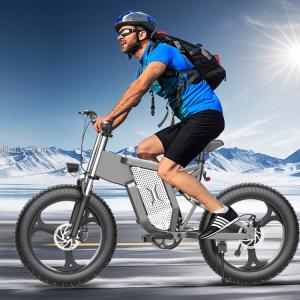 Aluminum Alloy Men'S Fat Tire Electric Bike 1000w Rear Drive Transmission