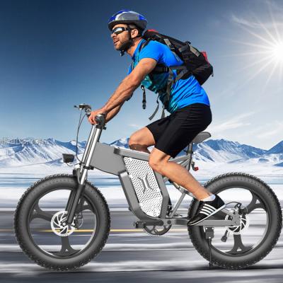 Aluminum Alloy Men'S Fat Tire Electric Bike 1000w Rear Drive Transmission