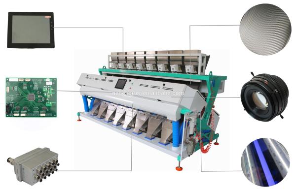 Food Processing Industries Rice Color Sorter With Two CCD Cameras