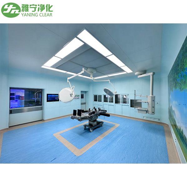 Stainless Steel or Glass Hospital Door with Manual or Automatic Operation and Fire Prevention for Operating Theater