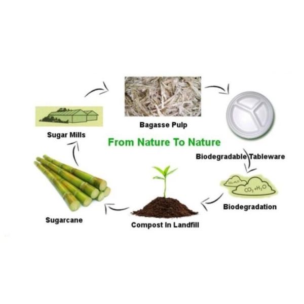 Бумажные тарелки Microwavable Biodegradable круглой плиты устранимые для фаст-фуда партии