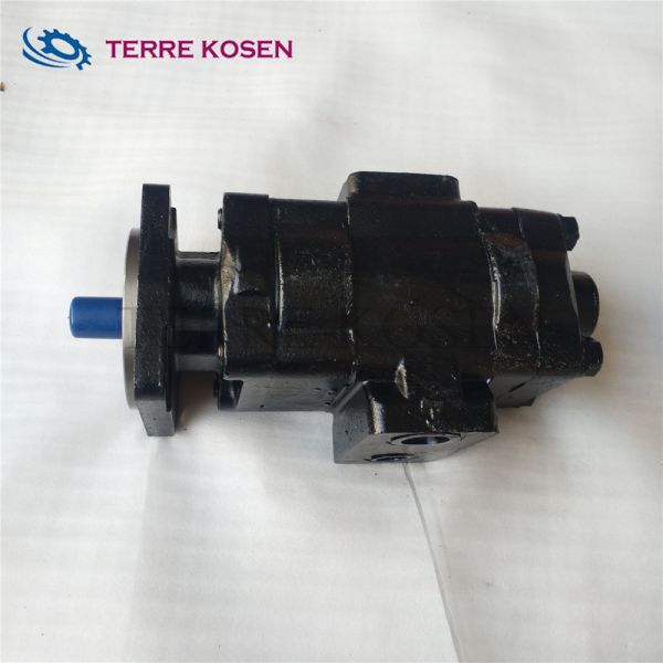 Hydraulic gear pump P330 bushing pump P330B578BIAB15-98-SPAB06-1