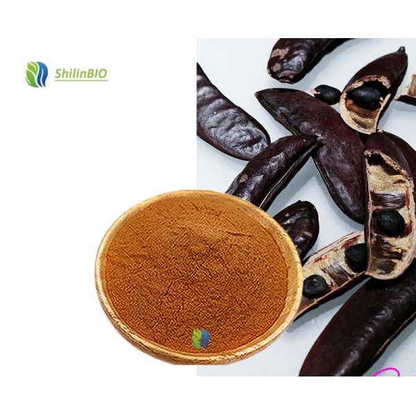High Quality Bulk Food Grade Herbal Extract Cassia Nomame Extract Powder  30% Cassia Nomame Flavanols in Bottles Drums