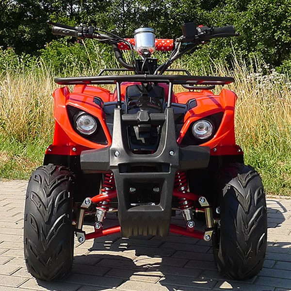 1000 ватт велосипеда квадрацикла детей электрического, Уилеров молодости 4 батареи 48в