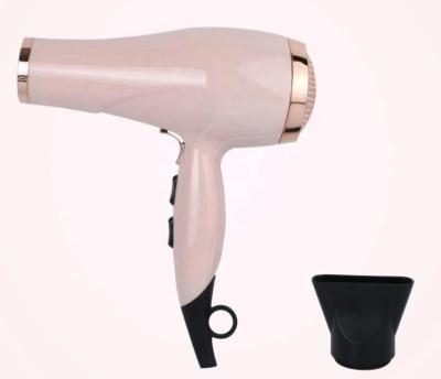 Professional AC Salon Blow Dry Machine For Hair Concentrator Nozzle Type