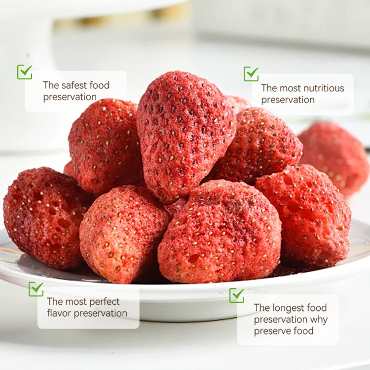 Advanced Freeze Dryer Machine Experience the Best in Fruit Preservation