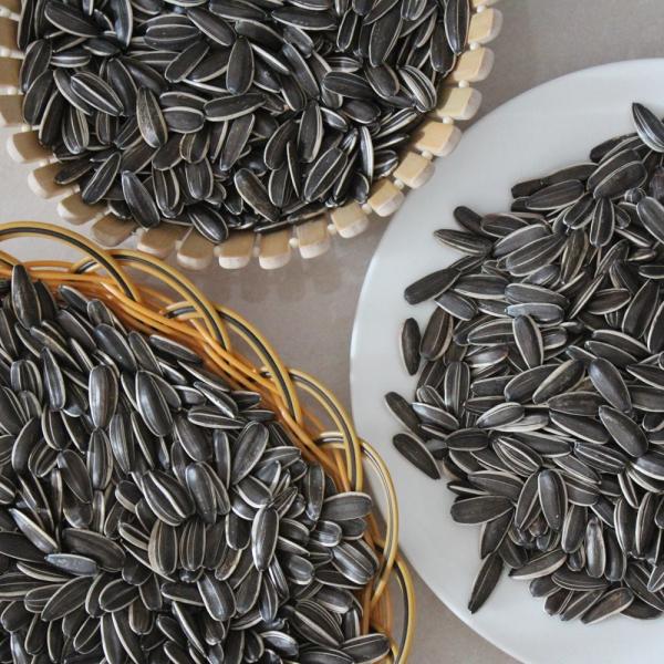 Hot sale 361/363/5009 ect. organic sunflower seeds with cheap price in 2023 from factories in China