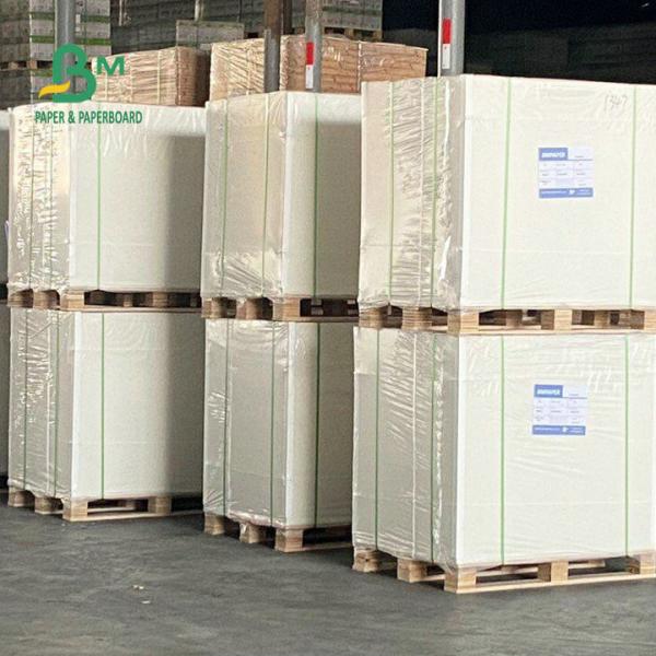One Side Coated Freezer Paper Roll 275gsm 325gsm For Packing Food