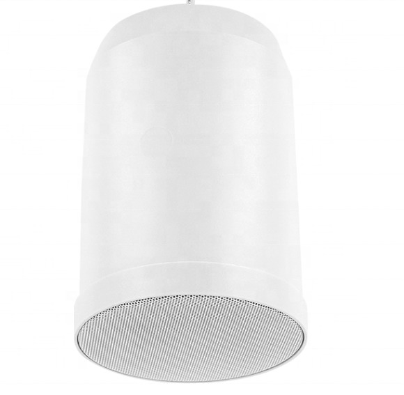 6 Inch Hanging Speaker 100V IP55 Hanging Outdoor Speaker 10W 20W