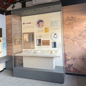 Dustproof Wall Hung Glass Showcase with UV Protection Display Cabinet for Museums