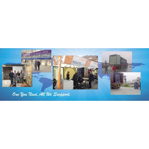 Sample Eco-Friendly Nylon Printed Wall to Wall Hotel Modern Design Ballroom Carpet